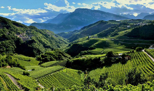 Val di Cembra, Trentino